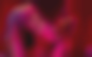 Fantasy n°4: VIP Orgy