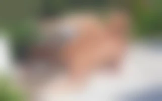 Unexpected pleasure for Cherry