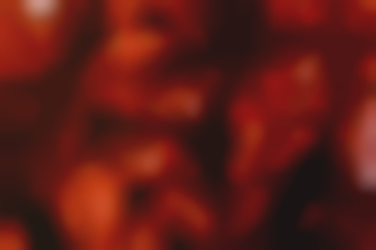 10 hot girls in a huge masked orgy (1H+ of hardcore)