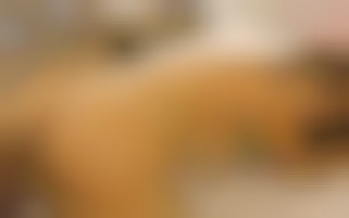 Maras hingabe: vergnügen und sodomie