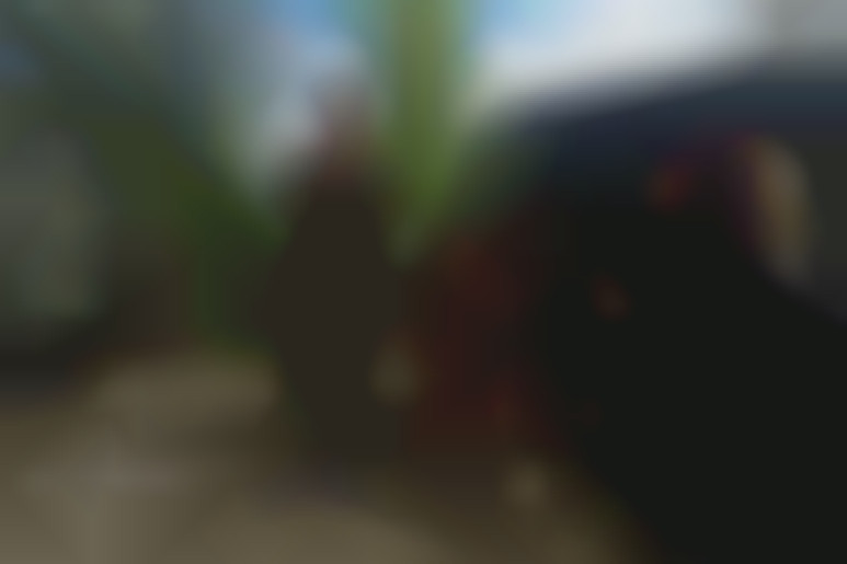 Making of from the movie military misconduct