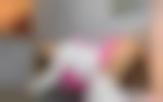 Fellation qui mène à du plaisir coquin