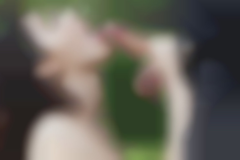 Valentina Nappi’s secret pleasures