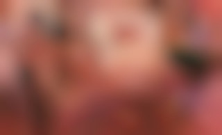 Becoming Anissa Kate