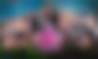 Naughty College: Secret Orgies