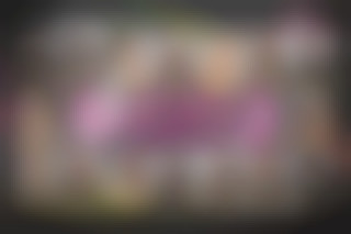 Sorority Secrets 2 - The New Semester