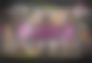 Sorority Secrets 2 - The New Semester