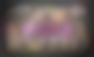 Sorority Secrets 2 - The New Semester