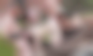 Brooklyn Lee's Sexperiences