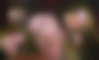 Veronica Avluv's Biggest Fan