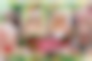 A day with Santa's Little Helpers