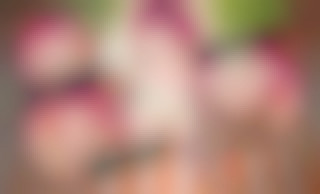 Anna Bell Peaks' Biggest Fan 2