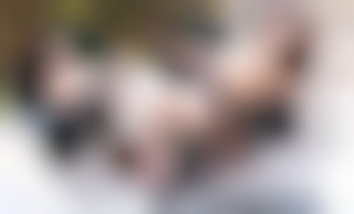Lana Rhoades' (S)Experiences