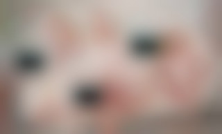 The Cock Tales of Petite Babes