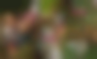 Naughty College - Holiday Affairs