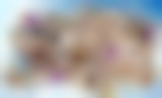 Stewardess Affairs