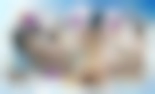 Stewardess Affairs