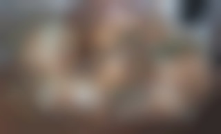 Intimately with Mia Malkova and Riley Reid 