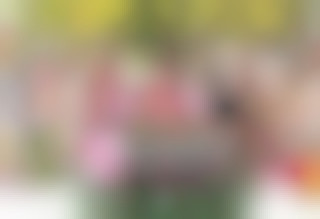 Sorority Secrets - Virgins' Camp