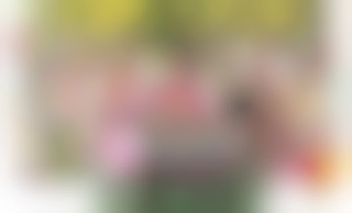 Sorority Secrets - Virgins' Camp