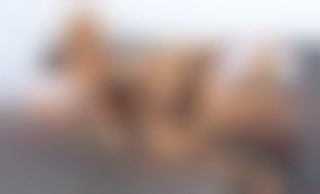 Busty MILFs on Fire