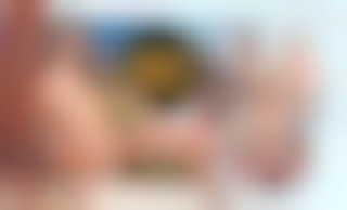 Gorgeous Girls' Indecent Affairs