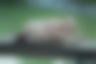...they look for sexy adventures.