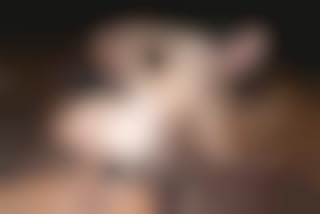 Today you can be a visitor...