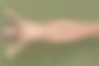 Petite Elena is taking pics naked...
